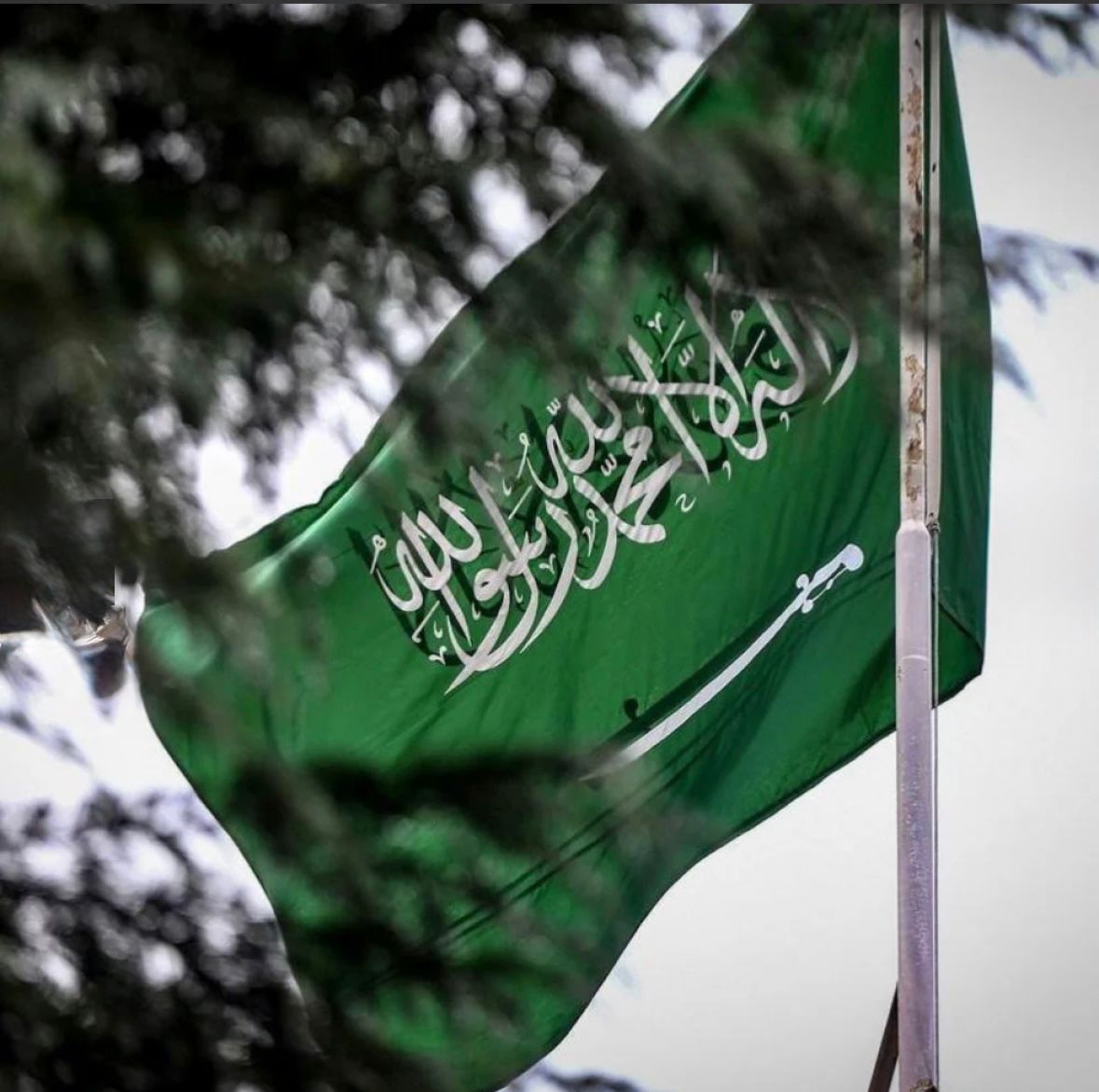 عبدالرحمن العصيمي