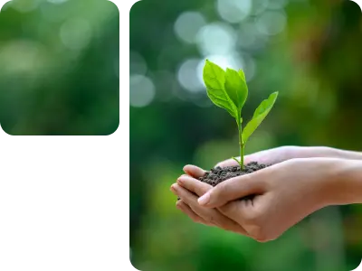 دراسات واستشارات الالتزام البيئي